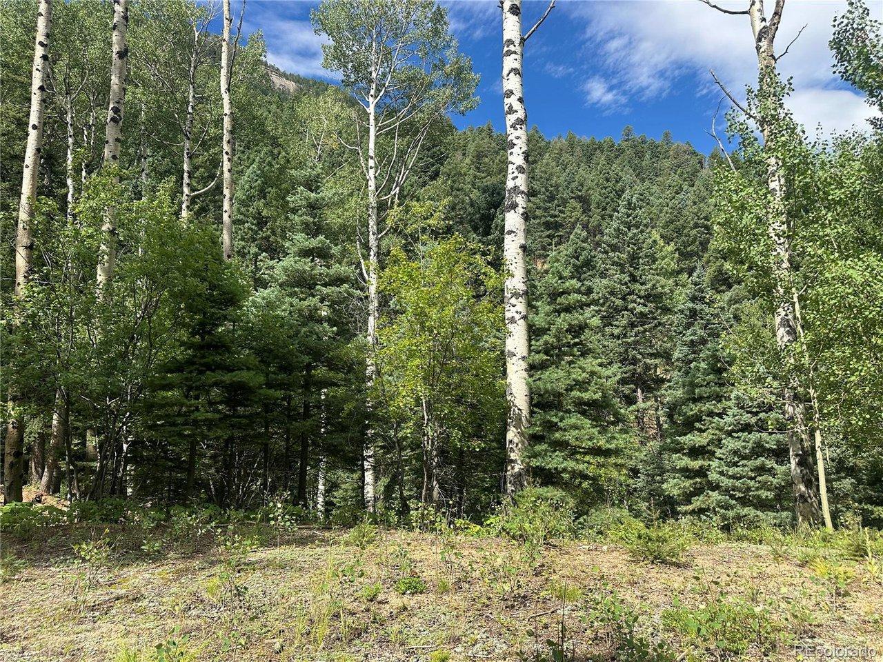 Image 4: Mountain View with beautiful aspens surrounding the build site Image 4: Mountain View with beautiful aspens surrounding the build site