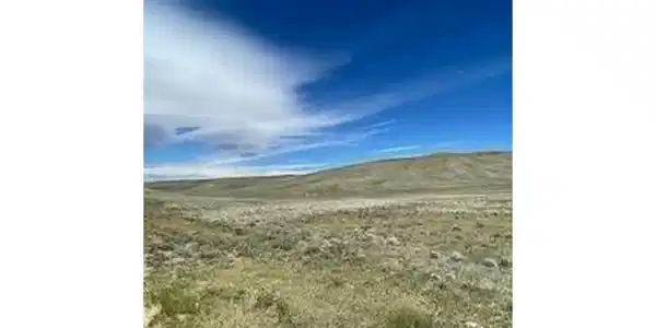 Image 4 Image 4