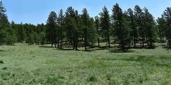 Image 3 Image 3