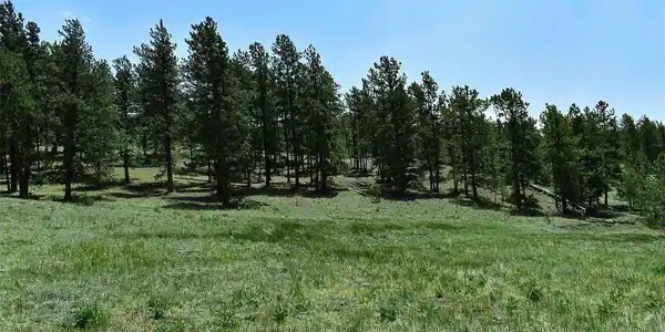 Image 4 Image 4