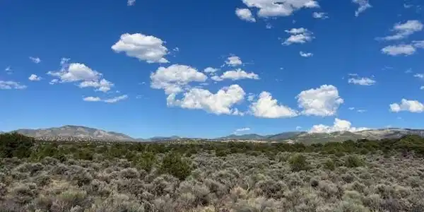 Image 4 Image 4