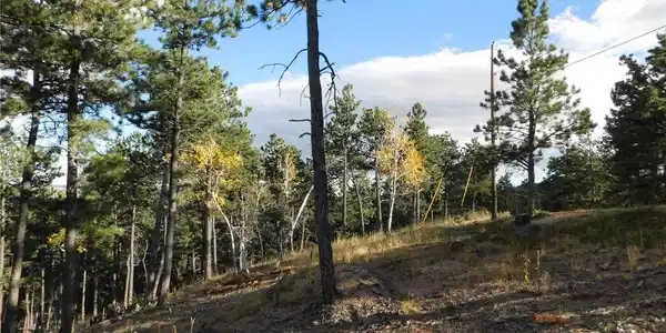 Image 4 Image 4