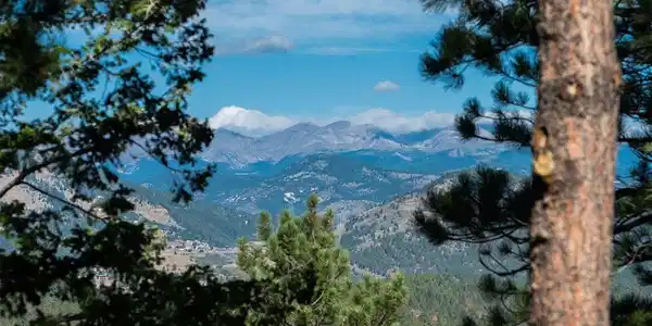 Image 2 Image 2