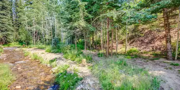 Image 4 Image 4