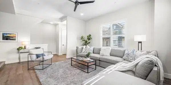 Image 4: Lots of natural light from east & south facing windows Image 4: Lots of natural light from east & south facing windows