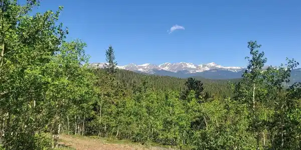 Image 4 Image 4