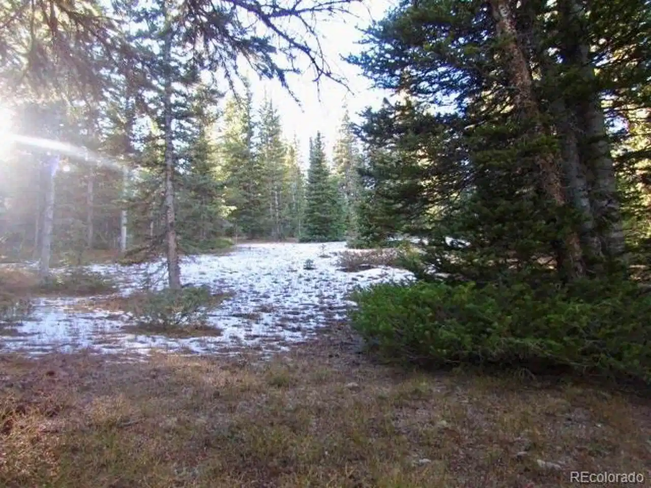 Image 1: Beautifully treed with open areas! Image 1: Beautifully treed with open areas!