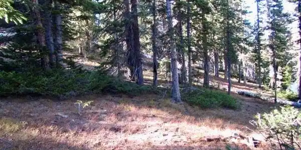 Image 4 Image 4