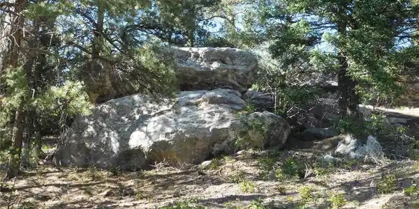 Image 4 Image 4