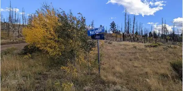 Image 4 Image 4