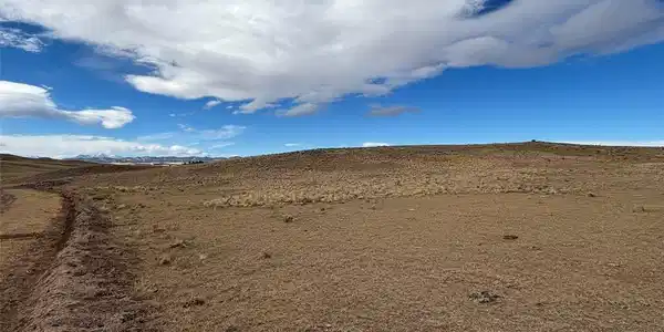 Image 4 Image 4