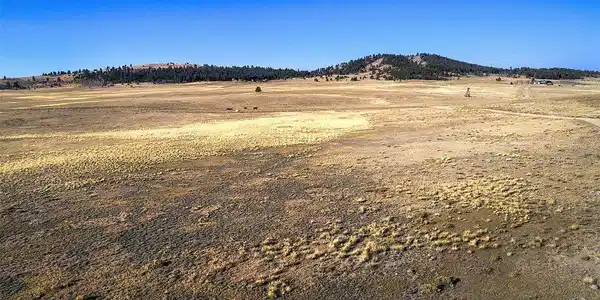Image 4: Aerial view of parcel A looking to the west and Elkhorn Road.