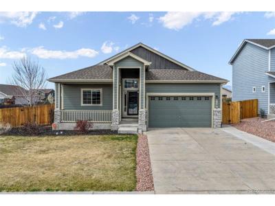 7296 Alpine Daisy Dr
