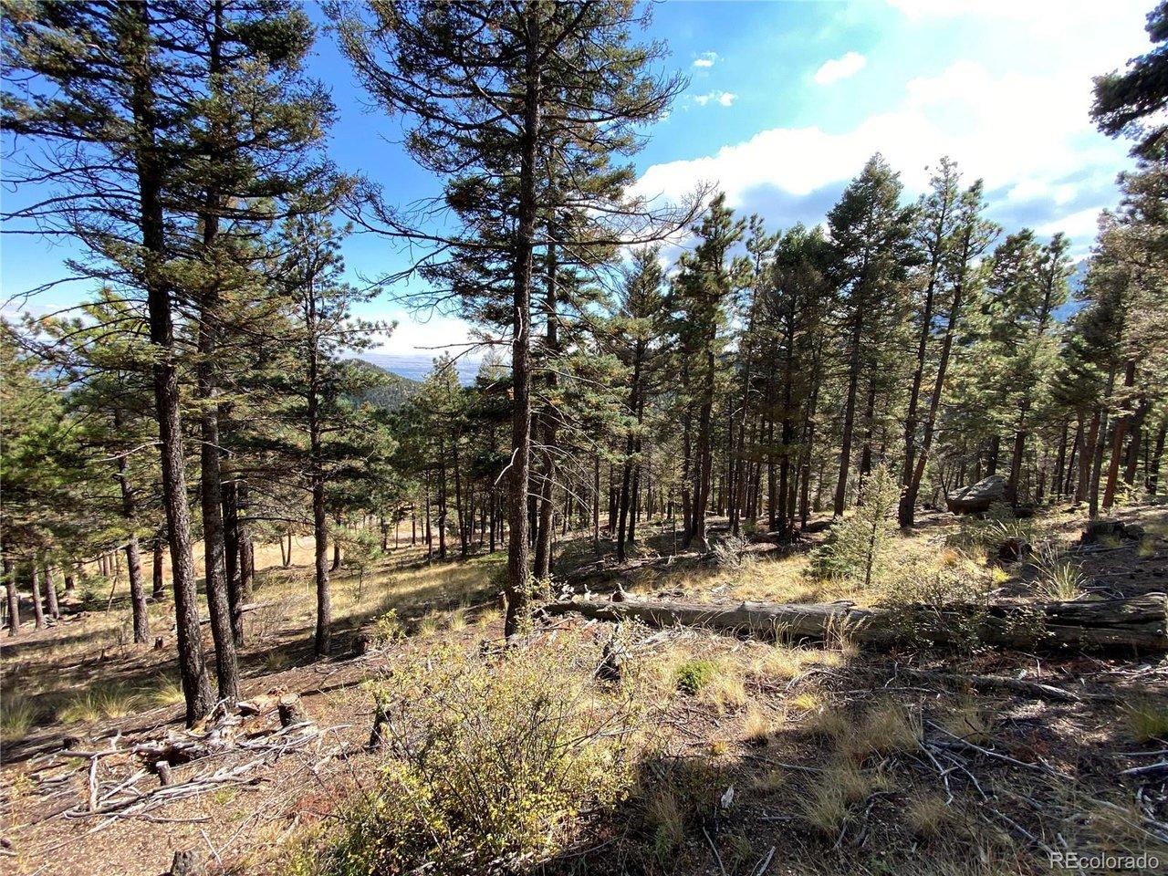 Image 4: Build Site! Image 4: Build Site!