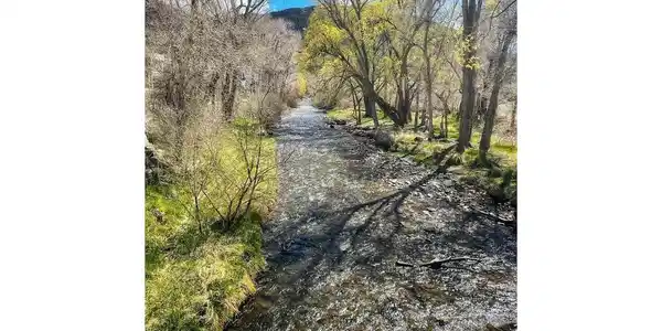 Image 3: Tranquil river views