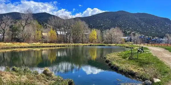 Image 4: Pond