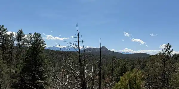 Image 3 Image 3