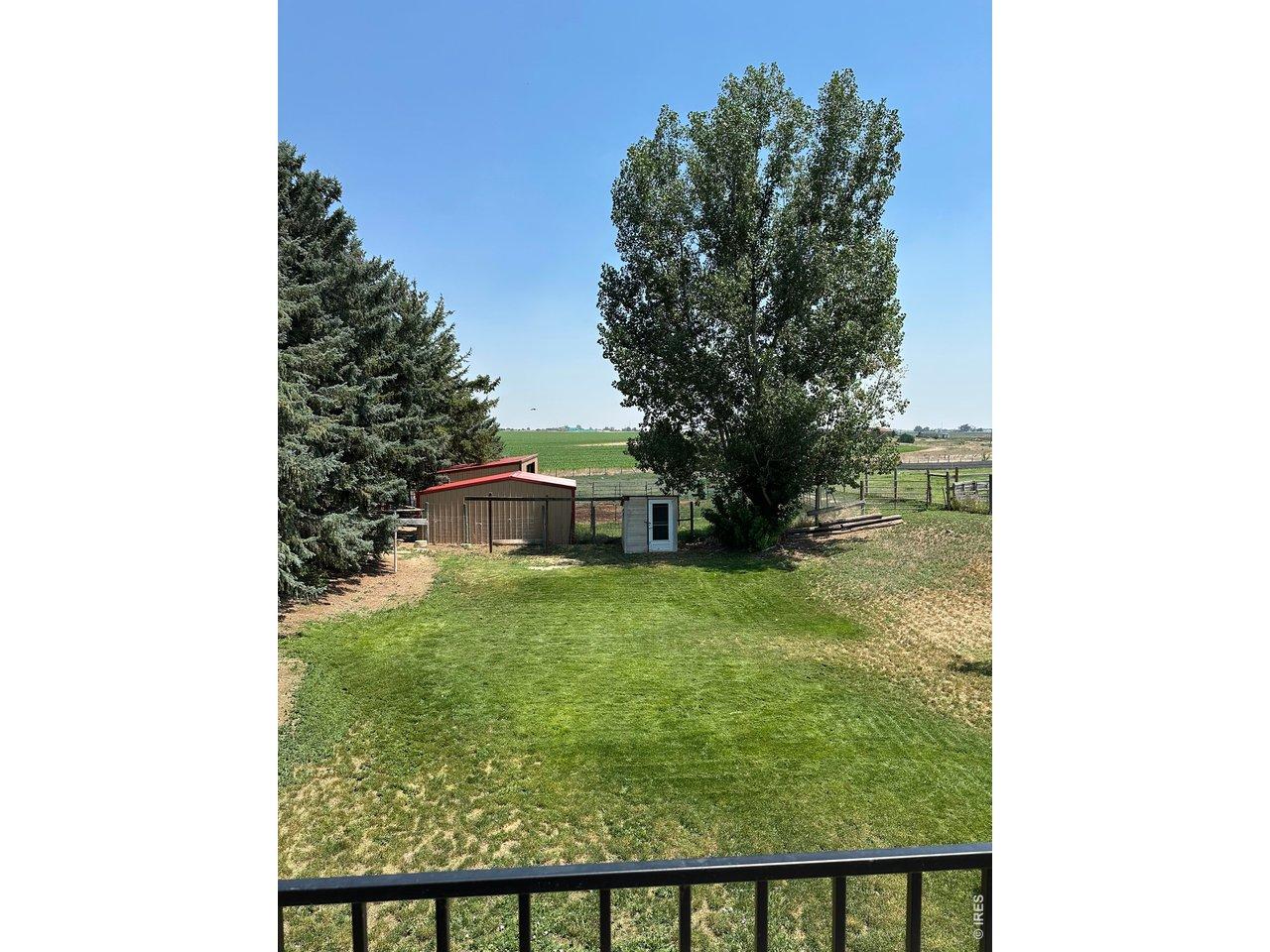 Image 3 Image 3