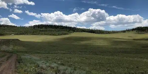 Image 3 Image 3