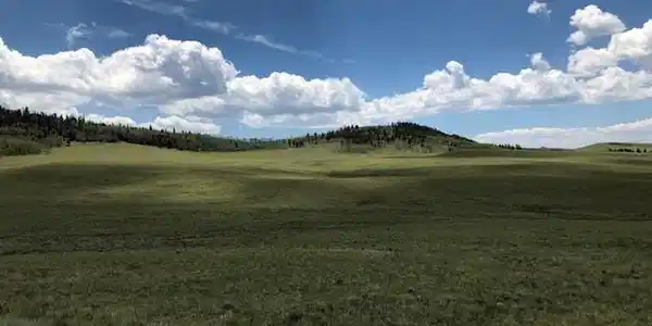 Image 4 Image 4