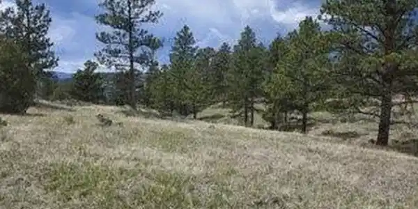Image 3: Pick your spot to place your Dream Home