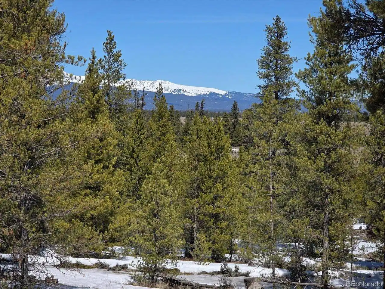 Image 1 Image 1