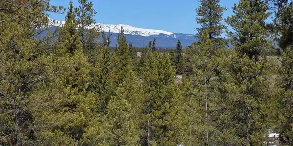 379 Lodgepole Dr