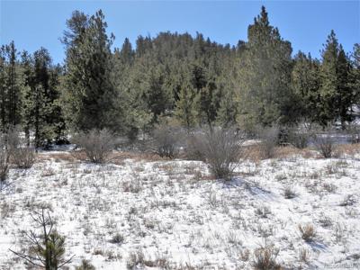29 Chickadee Dr