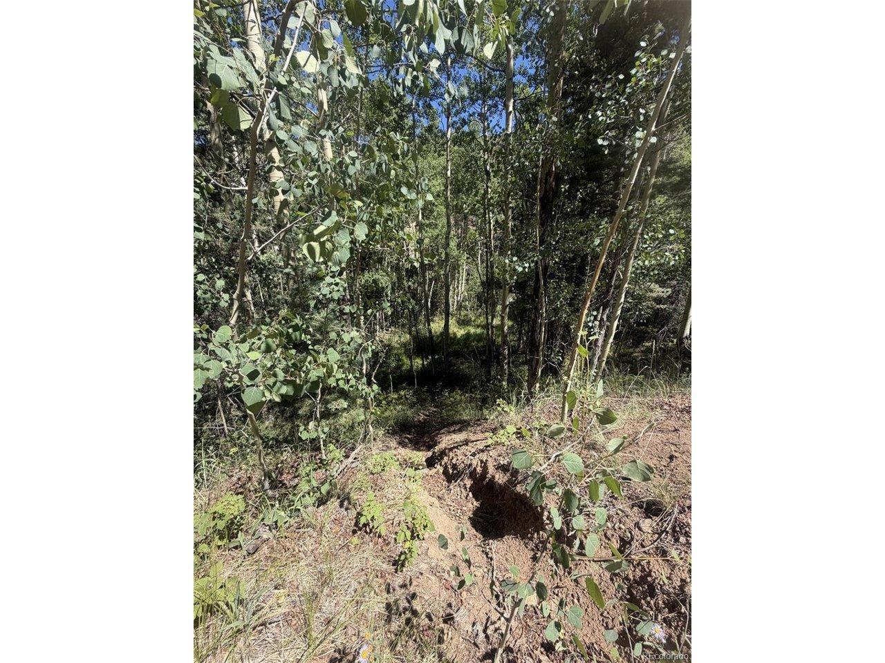 Image 4 Image 4