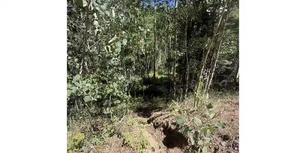 Image 4 Image 4