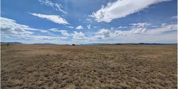 Image 4 Image 4