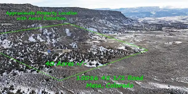 Image 4 Image 4