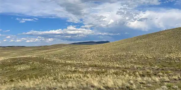 Image 4 Image 4