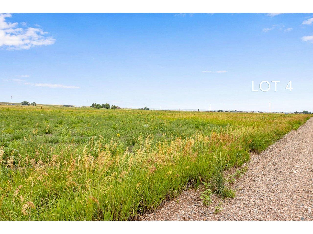 Image 3: Seize the opportunity to create your own haven in northern Colorado. Build your dream home with no HOA rules.