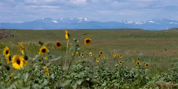 Image 4: Discover the freedom to build your ideal home amidst vast, unspoiled landscapes in Carr, Colorado Image 4: Discover the freedom to build your ideal home amidst vast, unspoiled landscapes in Carr, Colorado