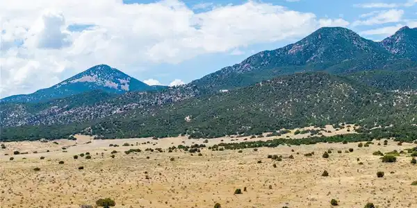 Image 4 Image 4