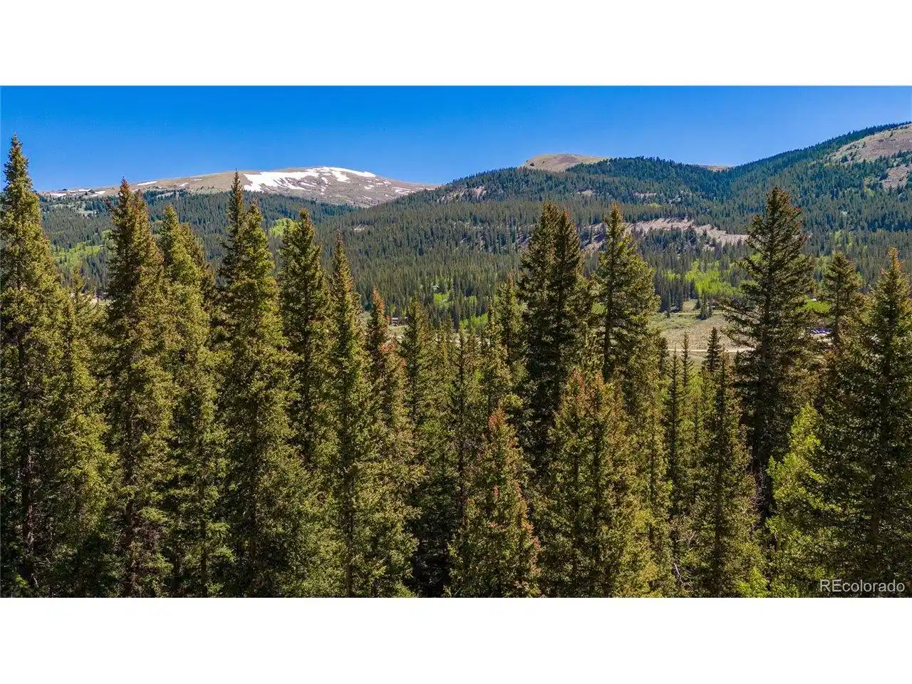 Image 1 Image 1