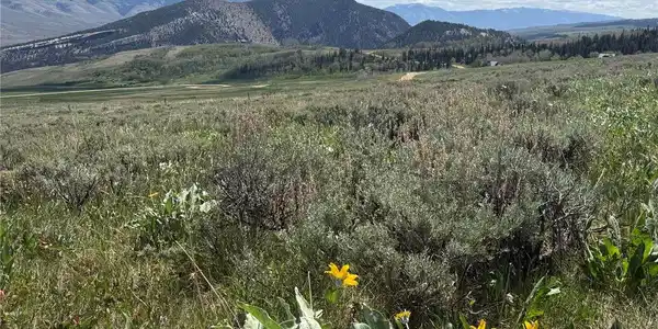 Spring Creek Ranch Rd