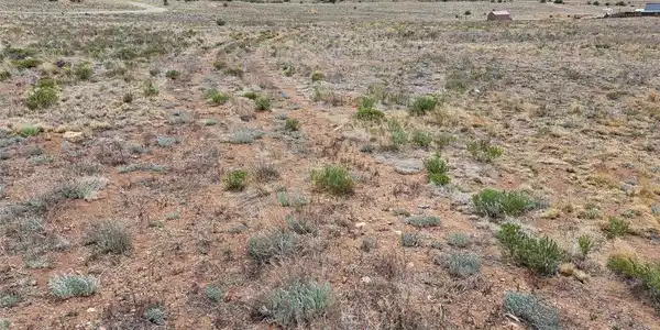 Image 4 Image 4