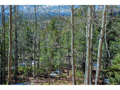 336 Witherite Dr