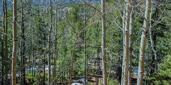336 Witherite Dr