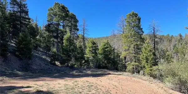 Image 4 Image 4
