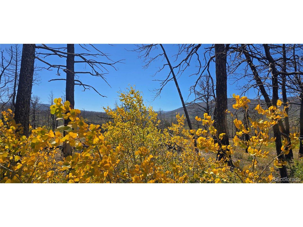 Image 3 Image 3