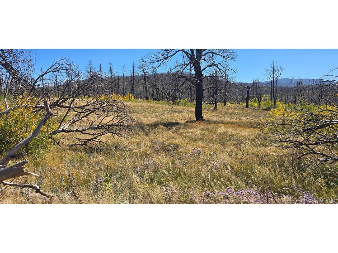 Image 4 Image 4