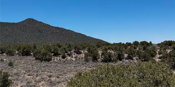 Image 3 Image 3