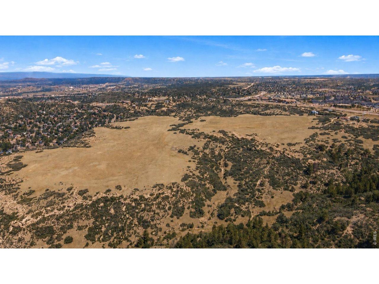 Image 3: Elevated aerial showing the property's scale against the distant front-range foothills. Mature pine and oak groves edge the open pasture-room to plan, build, and breathe. Image 3: Elevated aerial showing the property's scale against the distant front-range foothills. Mature pine and oak groves edge the open pasture-room to plan, build, and breathe.