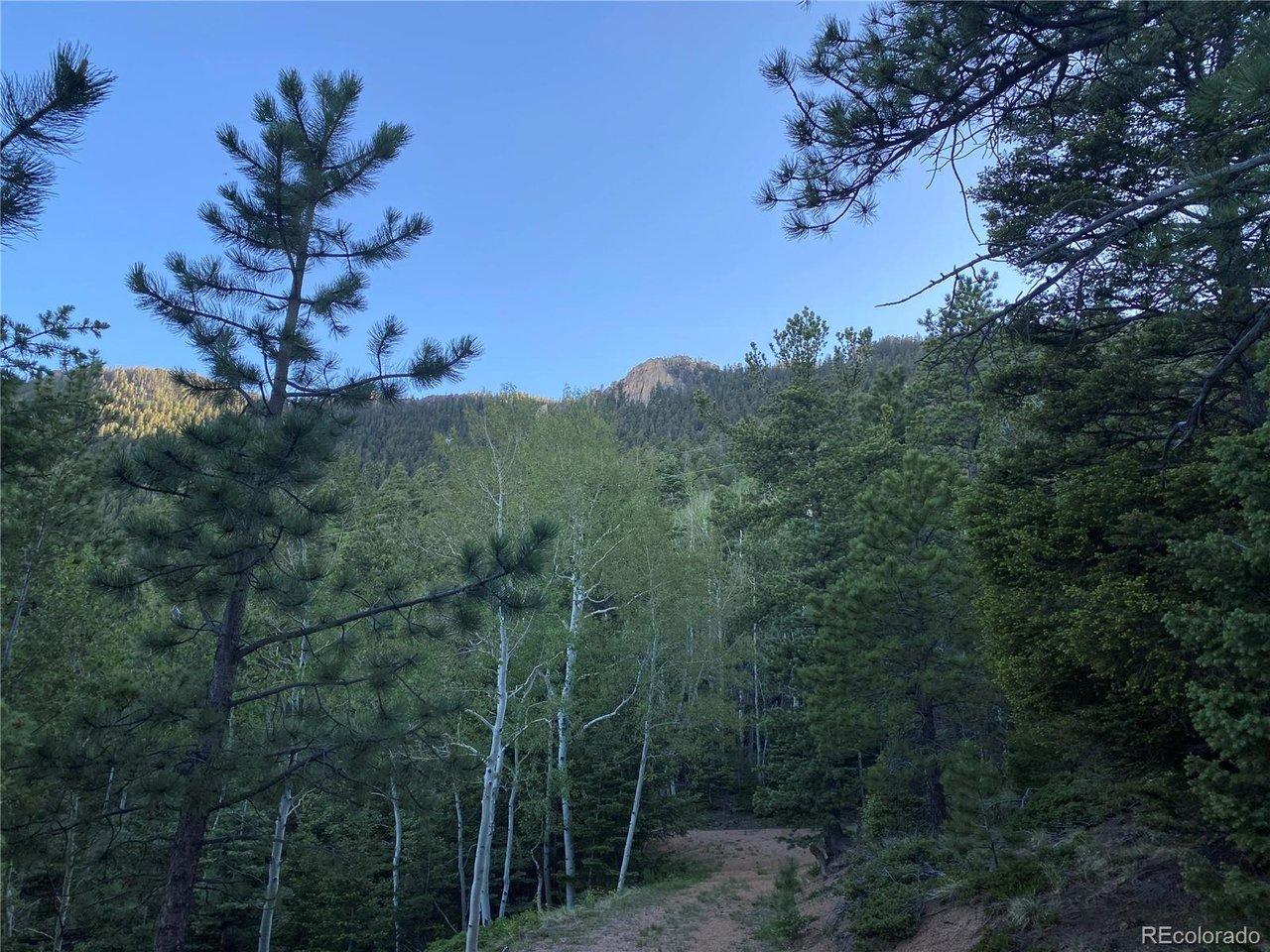 Image 2: Mature Aspens and Pines on the lot Image 2: Mature Aspens and Pines on the lot