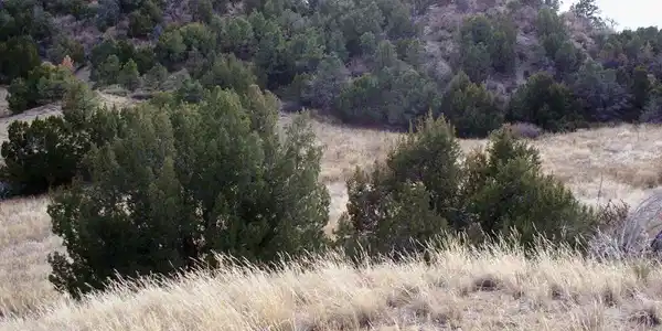 Image 4 Image 4