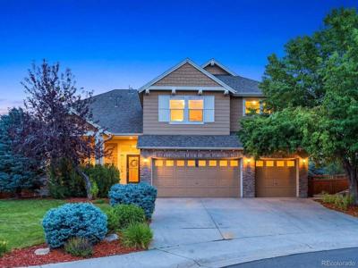 4579 Broadview Ct