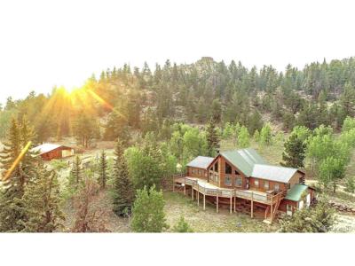 218 N Quarter Horse